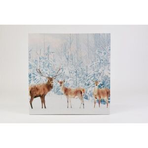Fali kép Szarvas az erdőben LED időzítővel 40 x 40 cm