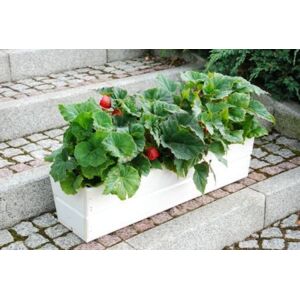 Kerti virágláda 64 cm fehér