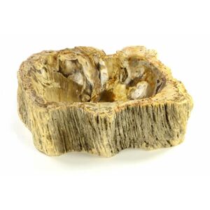 Mosdókagyló megkövesedett fa DIVERO FOSSIL Ø35