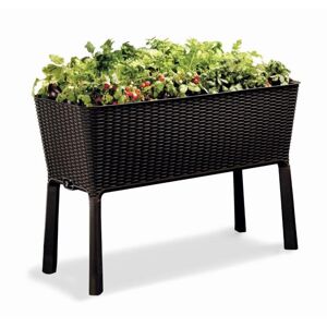 Keter Virágcserép Easy Grow barna