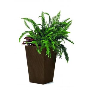 Keter Virágcserép Rattan Planter S