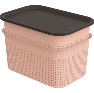 Fedeles tároló doboz szett BRISEN 2x 4,5L rózsaszín/antracit
